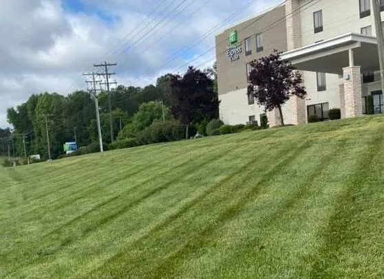 Professional yard cleanup service for year-round maintenance across Fuquay-Varina, NC - Miser Landscaping
