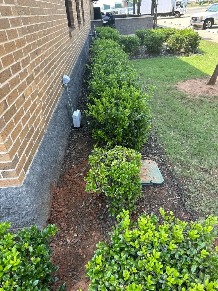 Top-rated lawn care service in Blanchard, OK by Misfits Construction Services