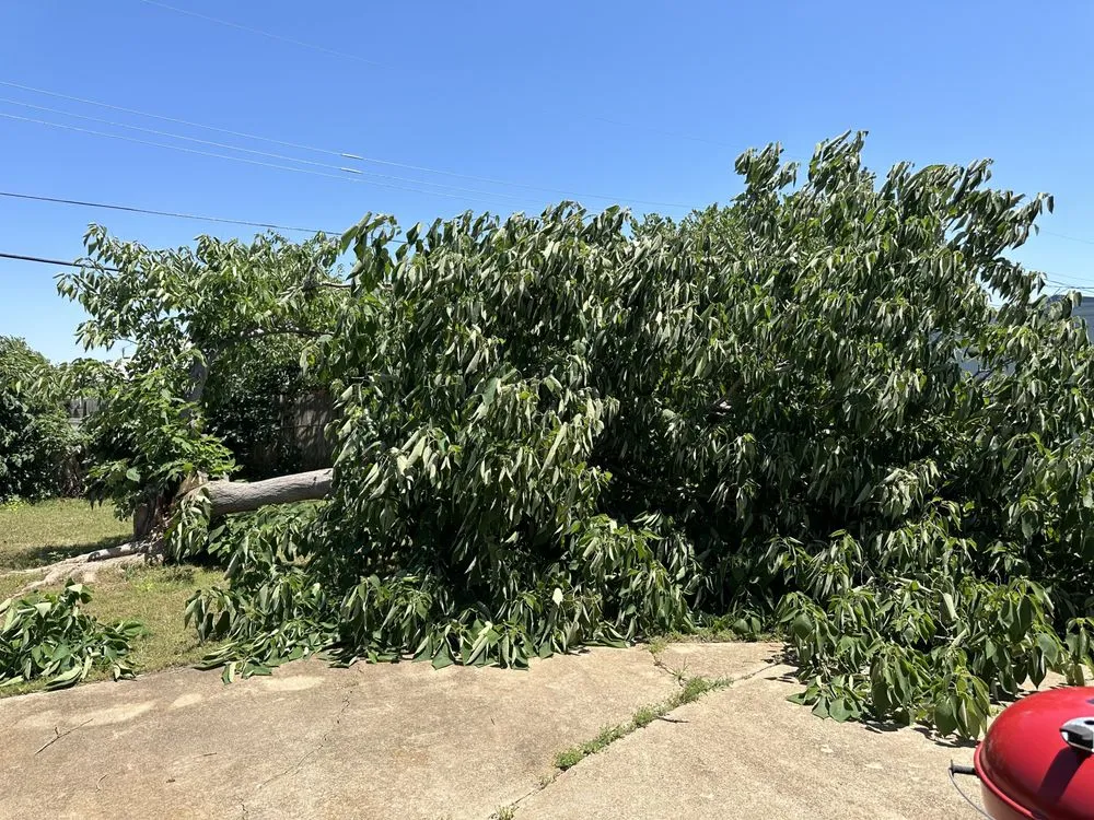 Reliable landscape design for residential properties across Blanchard, OK - Misfits Construction Services