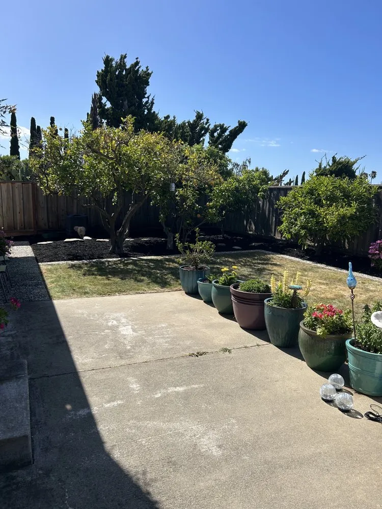 Professional residential landscaping for residential properties in El Sobrante, CA by Misgna Habtom's Gardening And Light Landscaping