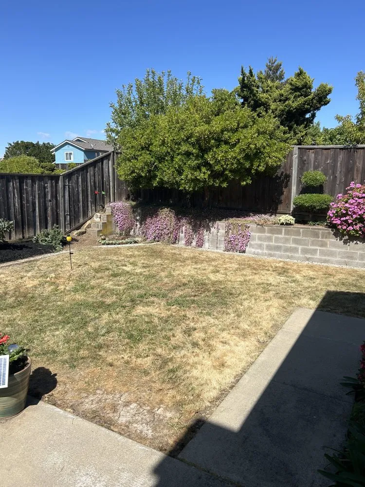 Custom landscape installation with custom design across El Sobrante, CA - Misgna Habtom's Gardening And Light Landscaping