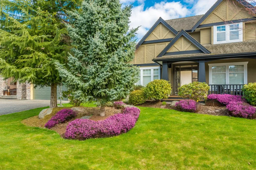 Reliable yard maintenance for beautiful yards across Mishawaka, IN - Mishawaka Commercial Landscaping