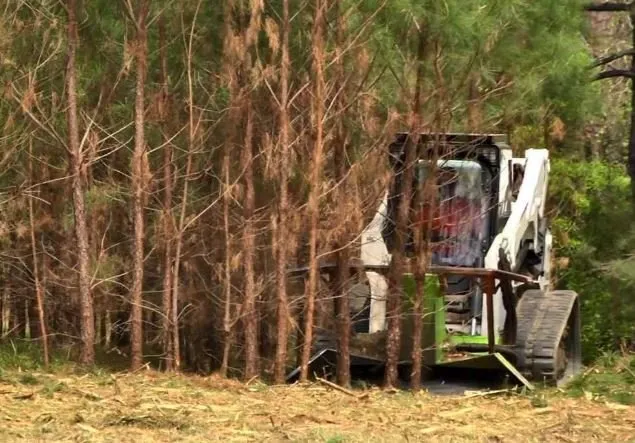 Reliable yard maintenance in Mishawaka, IN by Mishawaka Demolition