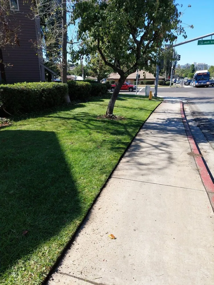 Local garden landscaping in San Diego, CA - Mishek Property Services