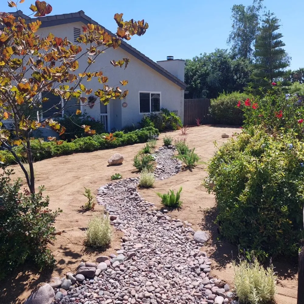 Top-rated lawn care service experts serving San Diego, CA - Mishek Property Services