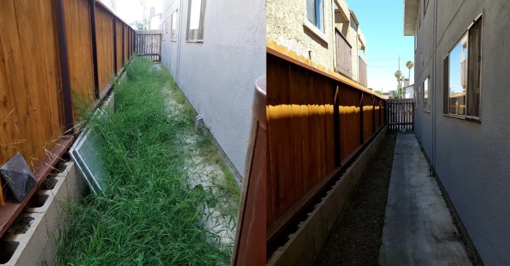 Trusted lawn care service in San Diego, CA by Mishek Property Services