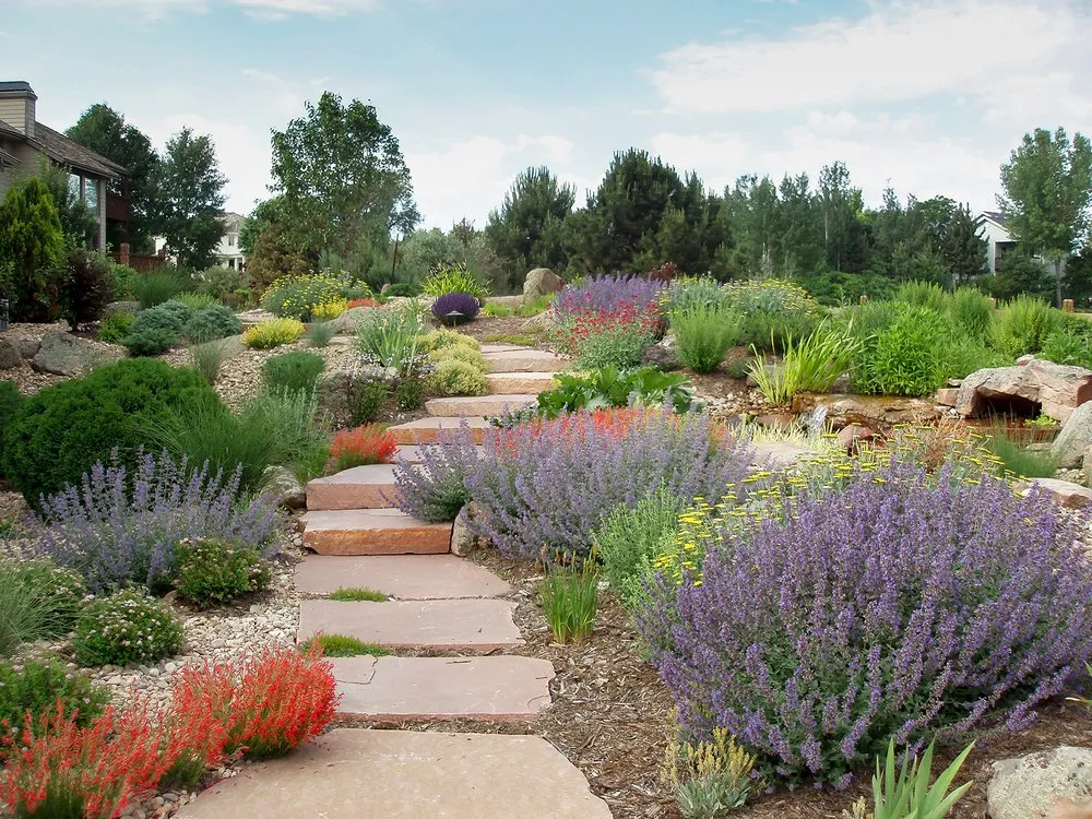 Professional landscape design experts serving San Diego, CA - Mishek Property Services