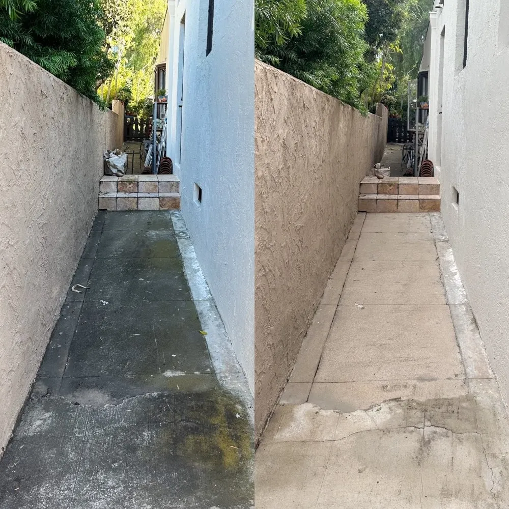 Custom yard maintenance in San Diego, CA by Mishek Property Services
