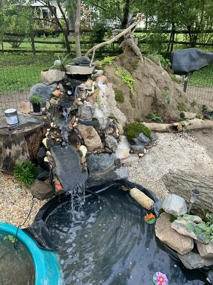 Top-rated yard cleanup service near you in Richmond, VA by Miss Fix It