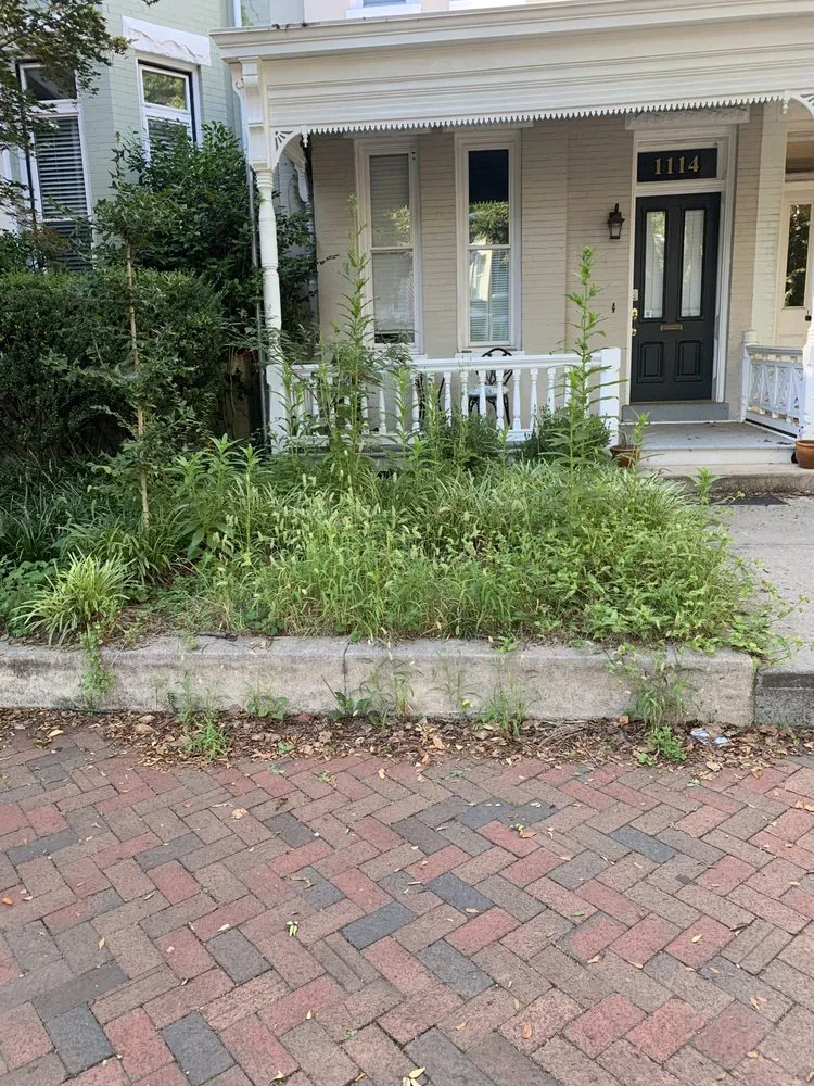 Local garden landscaping in Richmond, VA - Miss Fix It