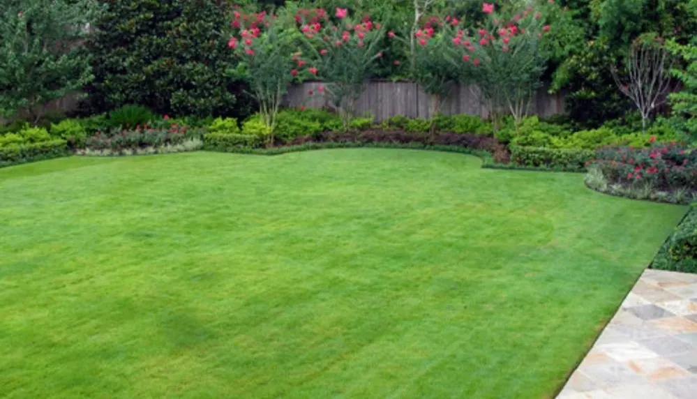 Custom outdoor landscaping for year-round maintenance across Breckenridge Hills, MO - Miss G's