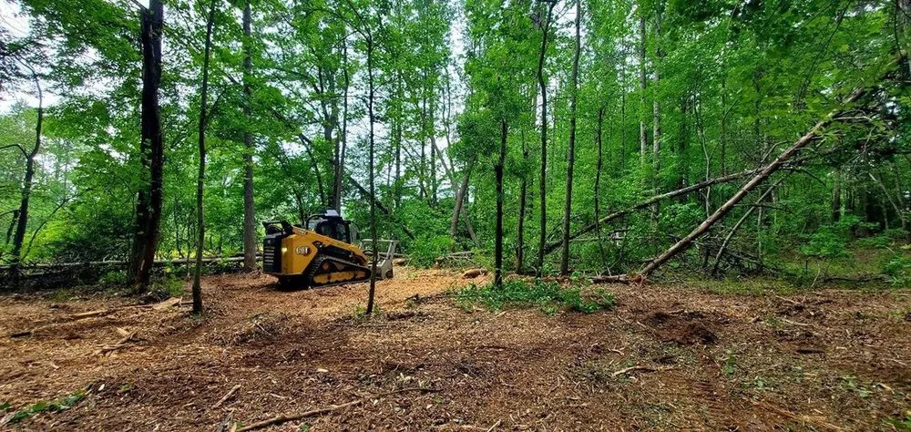 Affordable garden landscaping experts serving Maiden, NC - Miss Millie's Child Care Center
