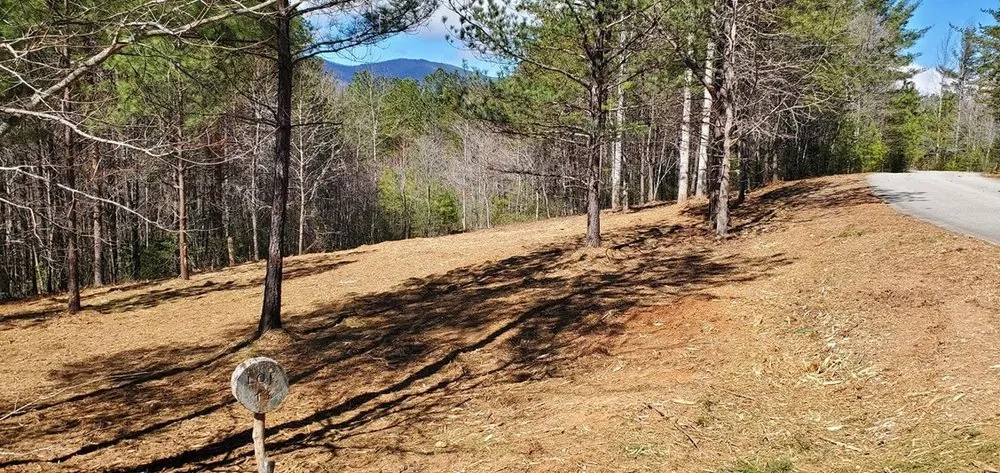 Expert landscaping services in Maiden, NC - Miss Millie's Child Care Center