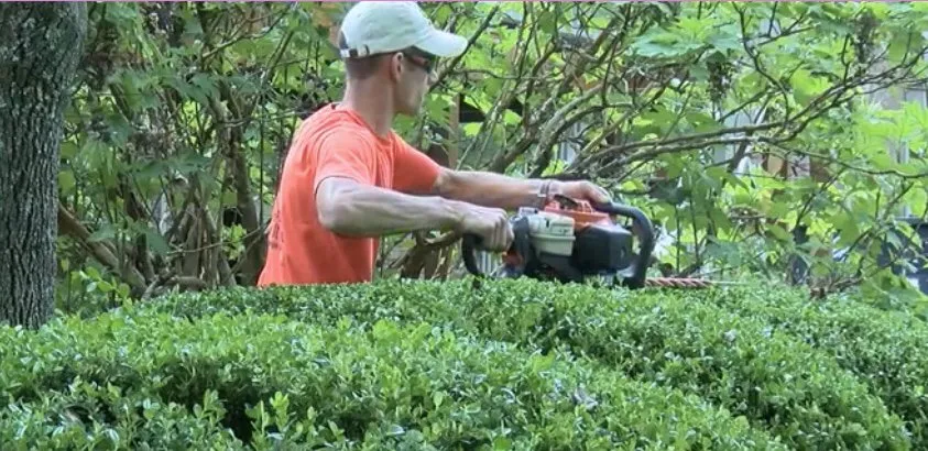 Reliable residential landscaping in Nicholasville, KY - Miss Mow It All