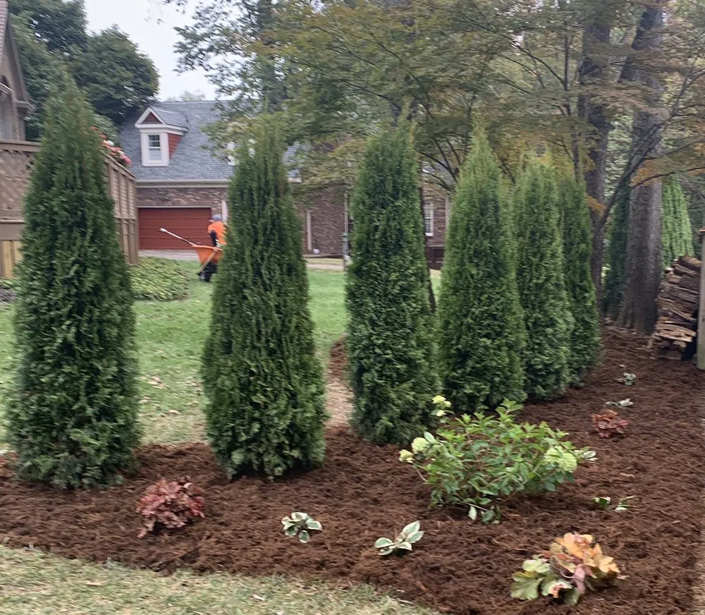 Expert lawn care service for beautiful yards in Nicholasville, KY by Miss Mow It All