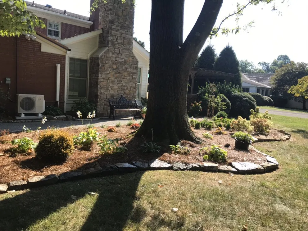 Top-rated outdoor landscaping for outdoor upgrades across Nicholasville, KY - Miss Mow It All