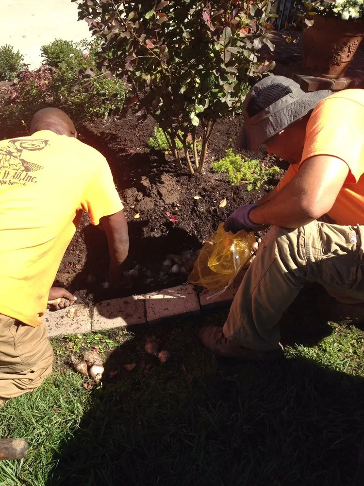 Custom residential landscaping in Nicholasville, KY - Miss Mow It All