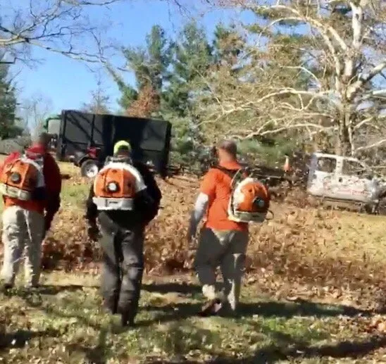 Local lawn care service for residential properties across Nicholasville, KY - Miss Mow It All