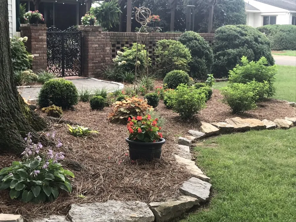 Top-rated yard maintenance in Nicholasville, KY - Miss Mow It All