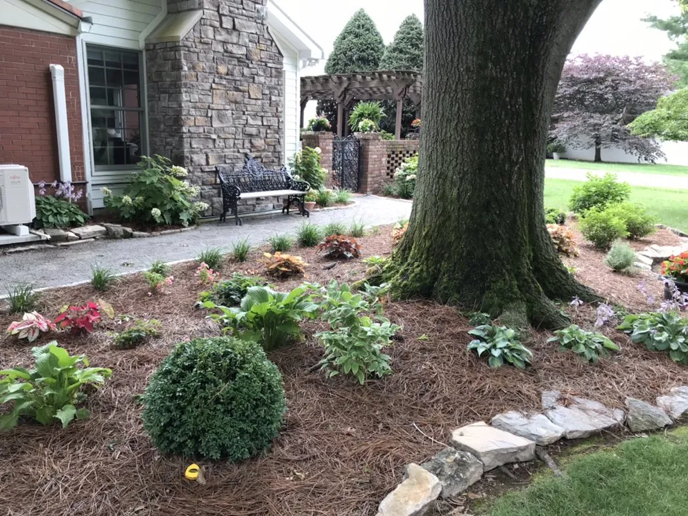 Reliable landscape installation in Nicholasville, KY - Miss Mow It All