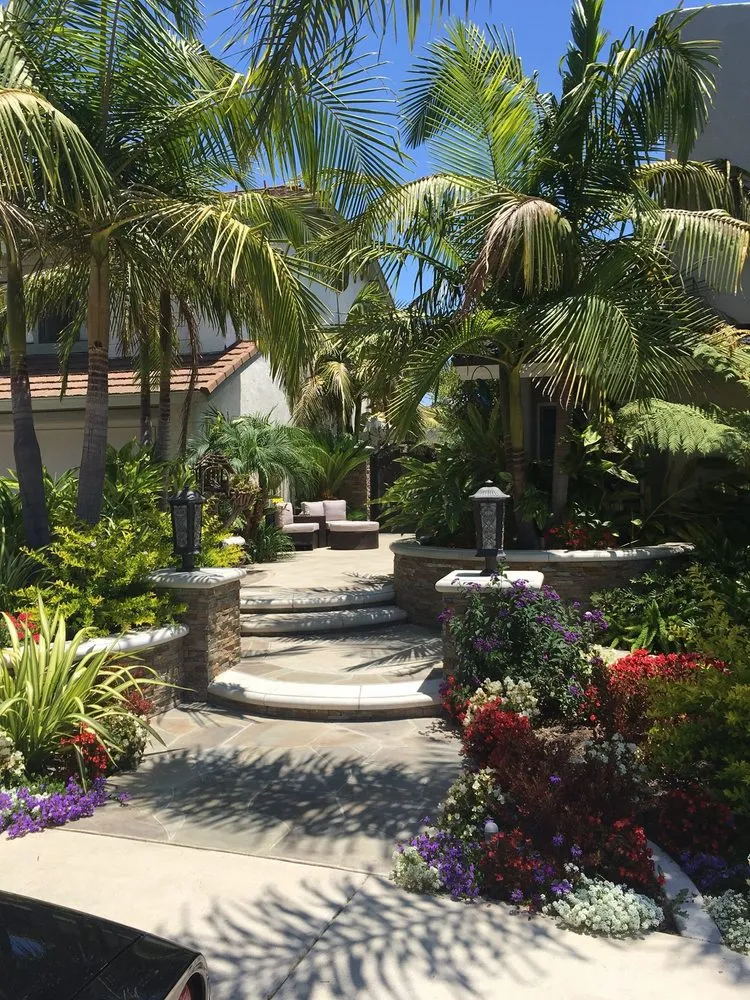 Custom yard cleanup service in Lake Forest, CA - Mission Landscape And Design Pools & Spas