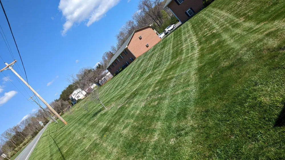 Affordable yard cleanup service experts serving Glade Hill, VA - Mission Landscapes