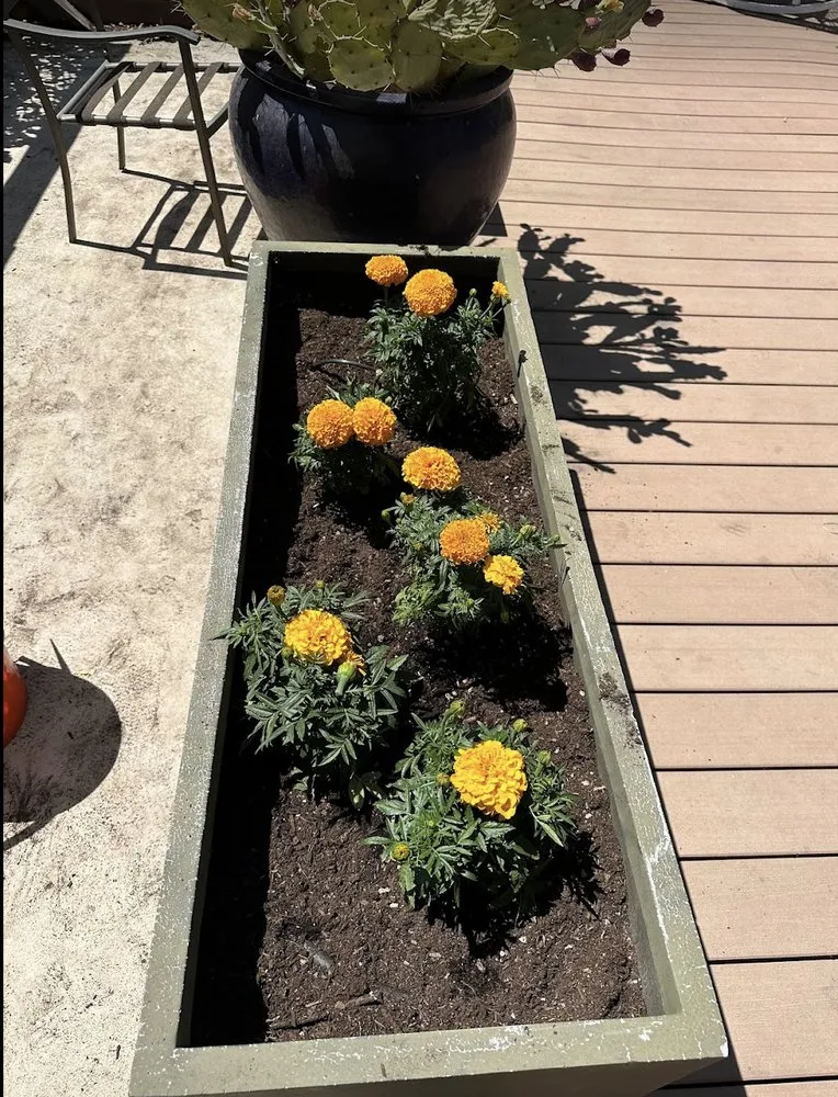 Professional garden landscaping experts serving Sacramento, CA - Mission Landscaping