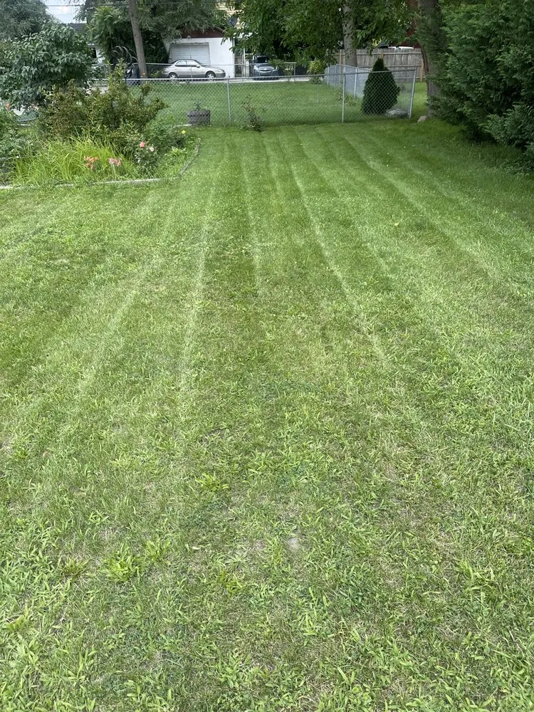 Affordable landscape installation for beautiful yards across Toledo, OH - Mission Lawn & Landscape