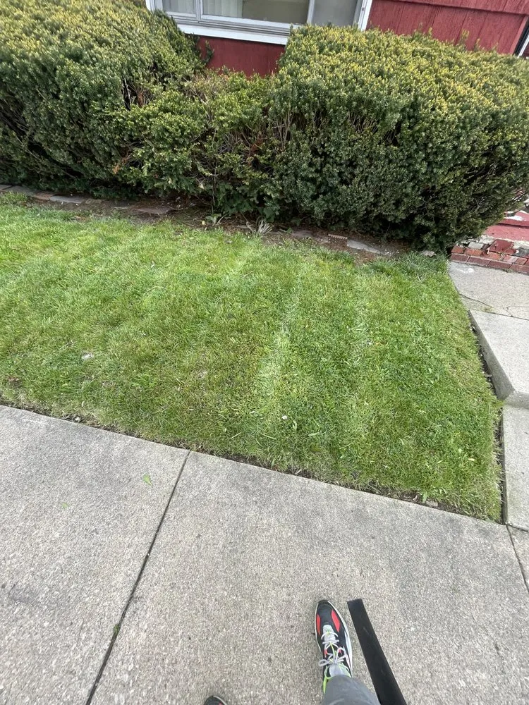 Professional landscape installation for homes across Toledo, OH - Mission Lawn & Landscape