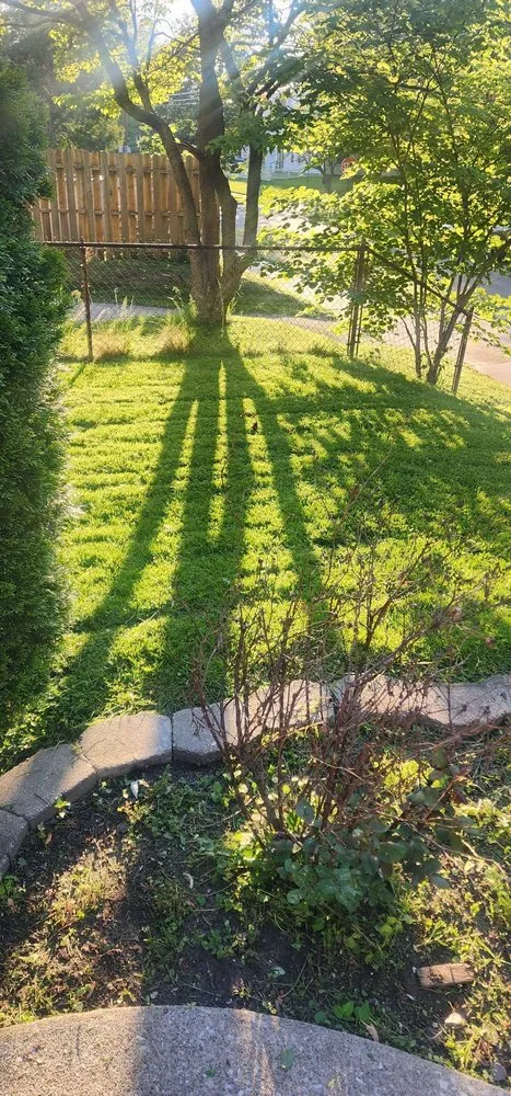 Reliable yard cleanup service in Toledo, OH - Mission Lawn & Landscape