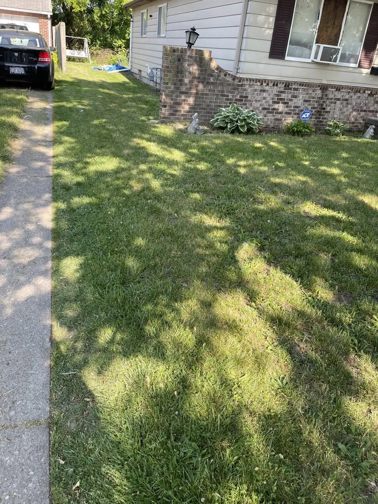 Reliable yard cleanup service in Toledo, OH by Mission Lawn & Landscape