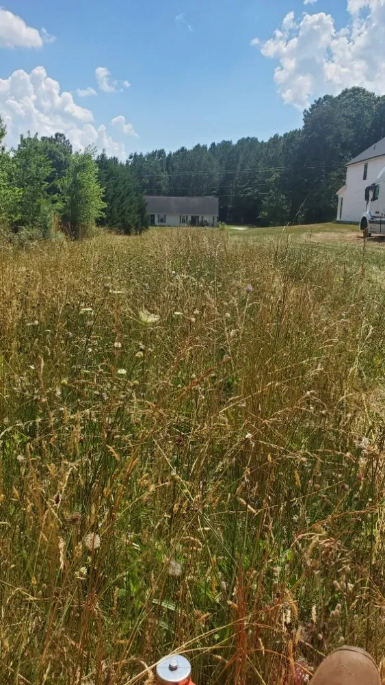 Local landscape design in Anderson, SC - Mission Lawn Care