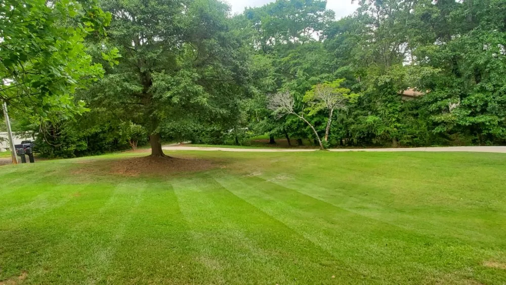 Professional lawn care service near you across Anderson, SC - Mission Lawn Care