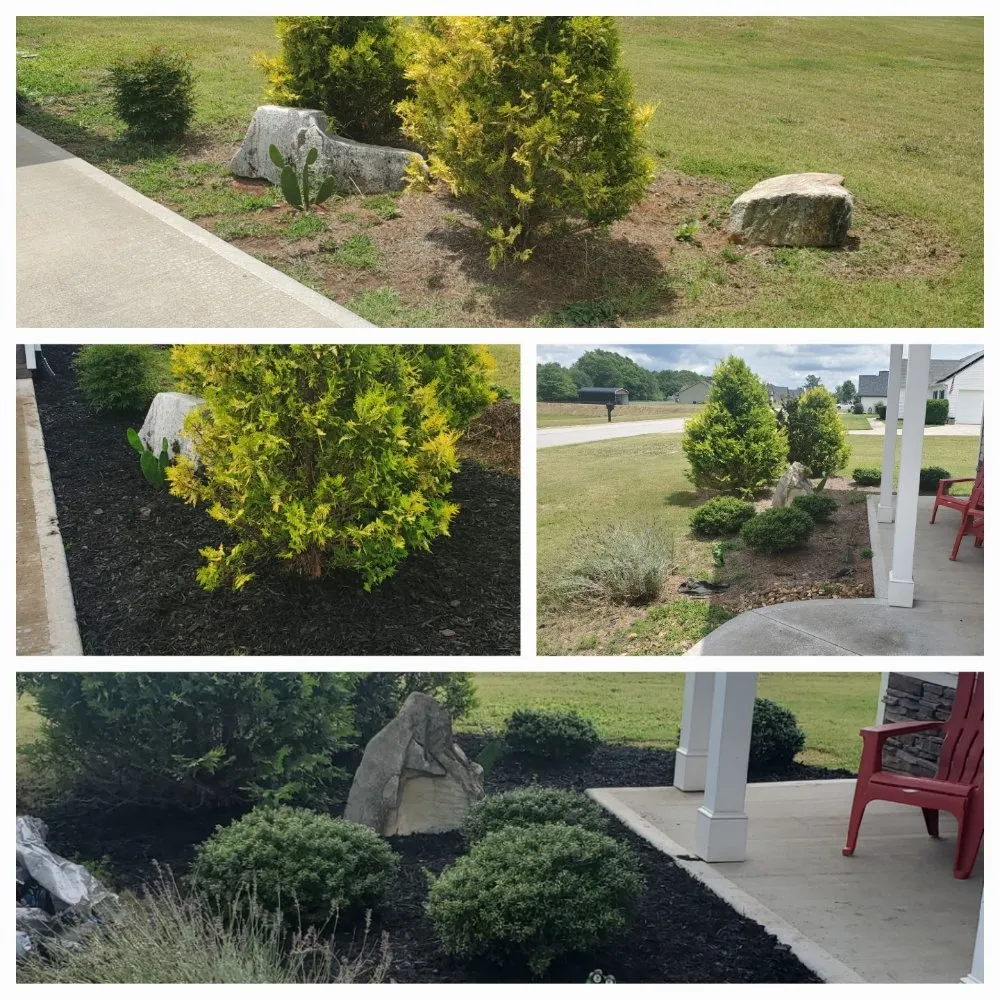 Professional landscaping services in Anderson, SC - Mission Lawn Care