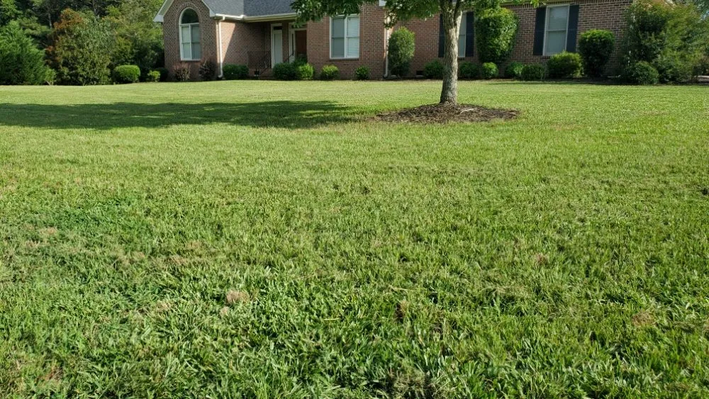 Expert garden landscaping in Anderson, SC by Mission Lawn Care