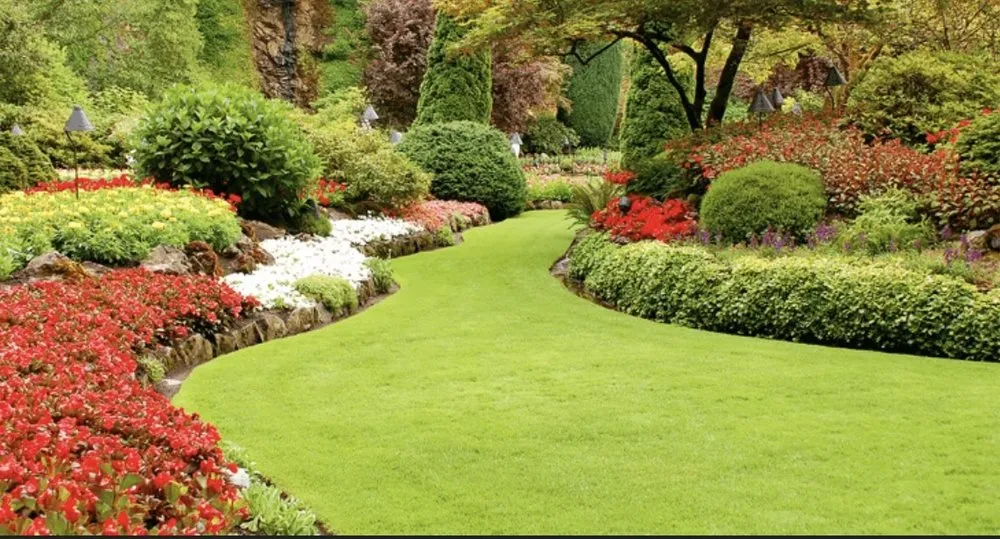 Local yard cleanup service for beautiful yards across Garner, NC - Mission Lawn Care