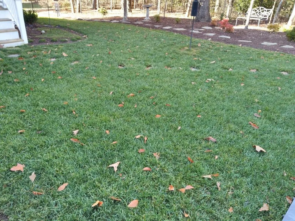 Local outdoor landscaping in Midlothian, VA by Mission Lawn Pros