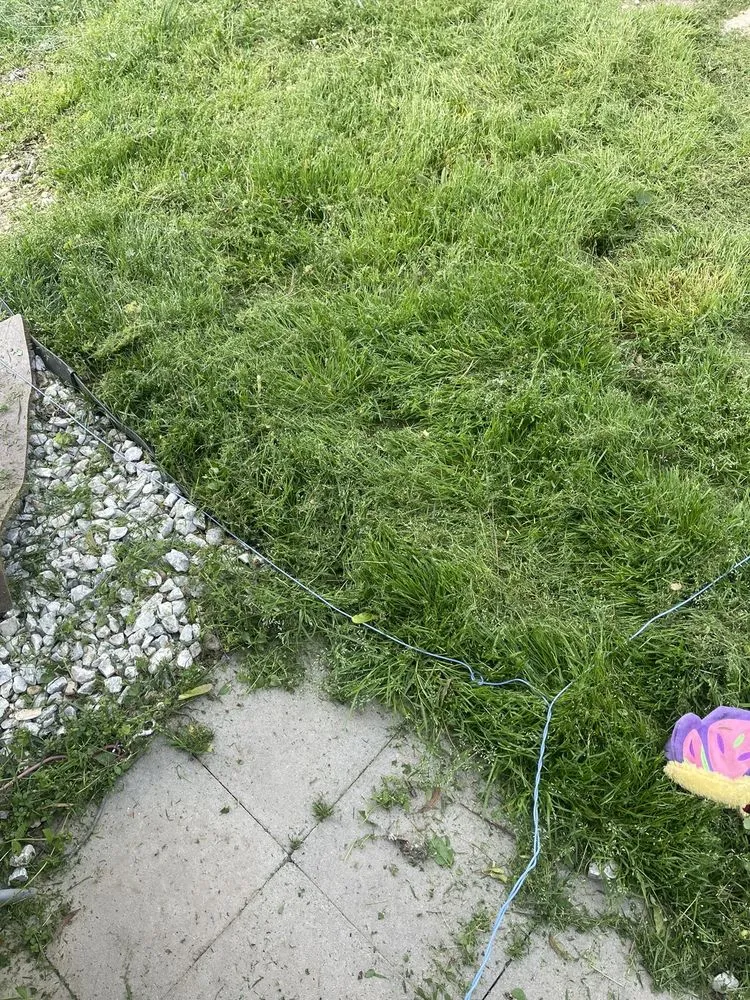 Expert landscaping services experts serving Midlothian, VA - Mission Lawn Pros