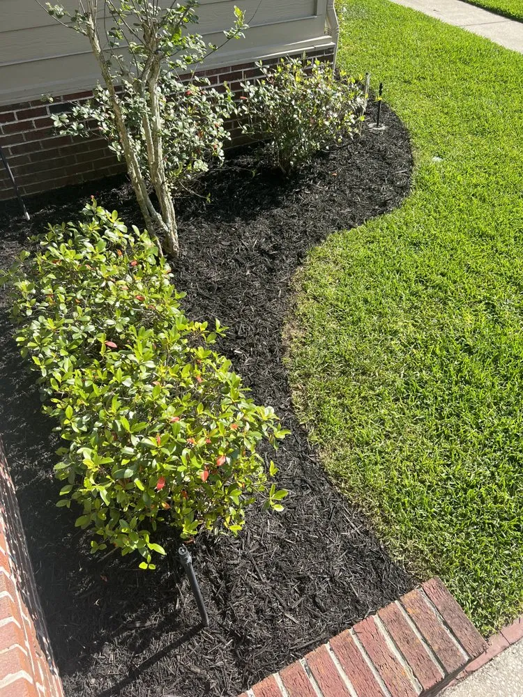 Local landscape installation in Fleming Island, FL by Mission Lawn Service