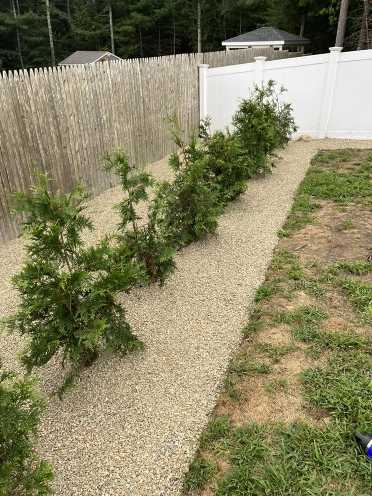 Custom yard cleanup service experts serving Berkley, MA - Mission Mowers