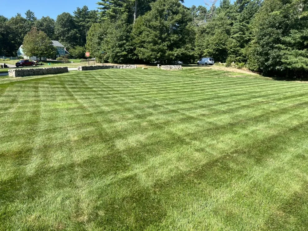 Local landscape installation in Berkley, MA by Mission Mowers