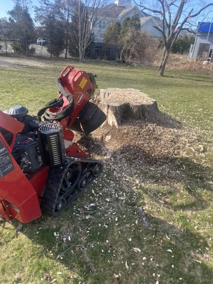 Top-rated landscaping services for residential properties in Berkley, MA by Mission Mowers