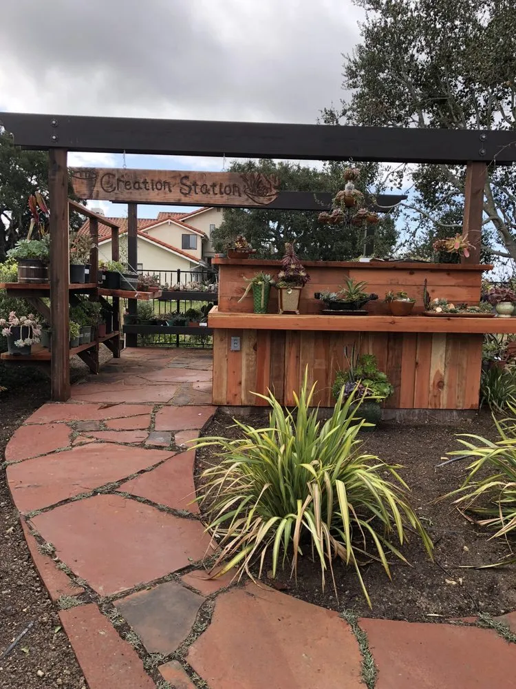 Trusted yard maintenance for outdoor upgrades across Grover Beach, CA - Mission Pacifica Landscape Development