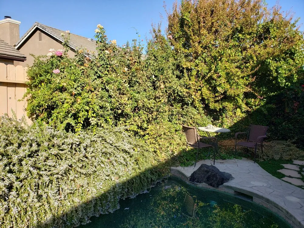 Top-rated lawn care service for year-round maintenance across Clovis, CA - Mission View Landscaping