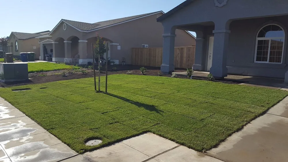 Custom yard maintenance in Clovis, CA - Mission View Landscaping