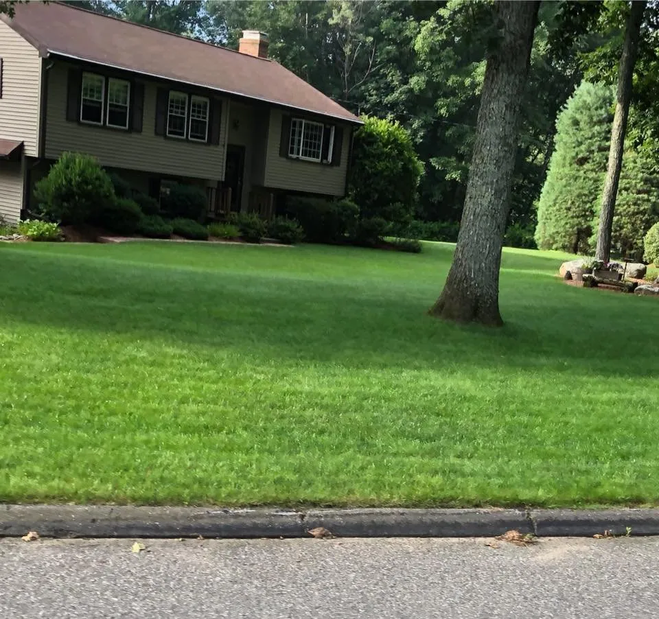 Professional landscape design in Chicopee, MA by MissionGreen Services