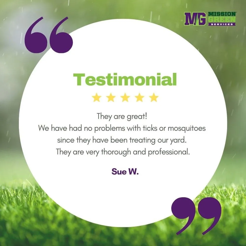 Local yard cleanup service in Chicopee, MA by MissionGreen Services