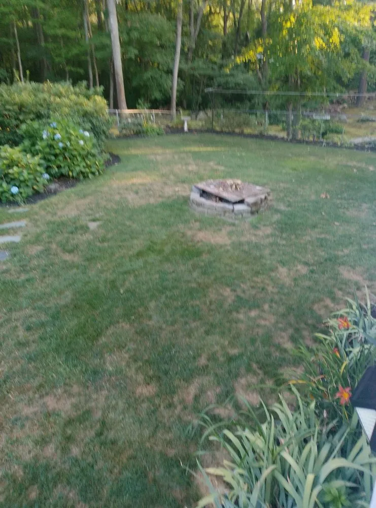 Custom yard cleanup service experts serving Smithfield, RI - MissionGreen Services