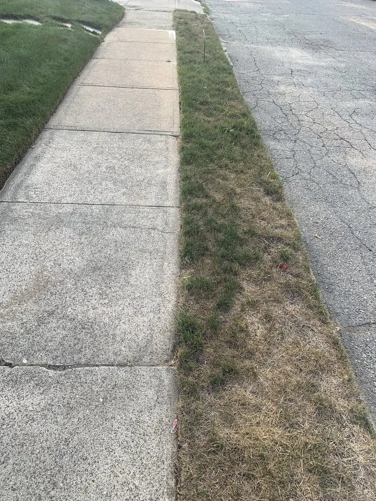 Reliable yard cleanup service in Smithfield, RI - MissionGreen Services