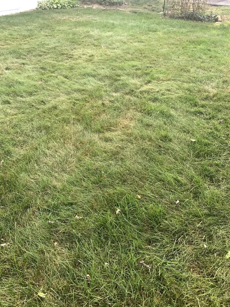 Custom landscape design near you across Smithfield, RI - MissionGreen Services